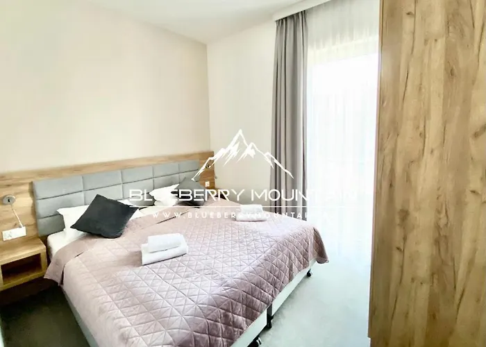 Blueberry Mountain Czarna Gora Apartment