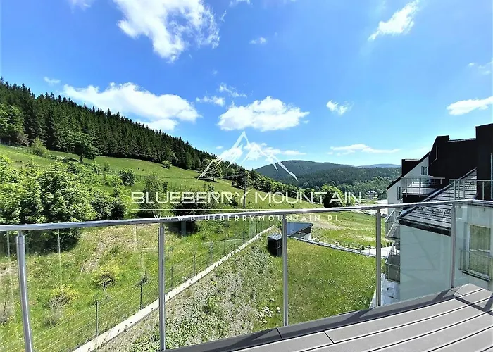 Blueberry Mountain Czarna Gora Biala Woda